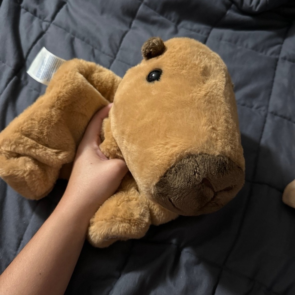 Build a bear plush